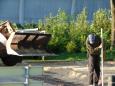 Vastgelegd 2009-5-8 00015