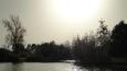 DSC02960