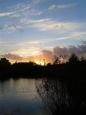 NATUUR 006