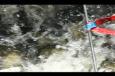IMG 4468