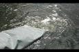 IMG 4473