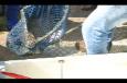 IMG 4475