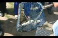 IMG 4476