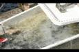 IMG 4479