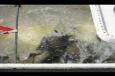IMG 4483
