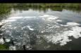 IMG 4486